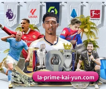 开云体育 APP(kaiyun)
